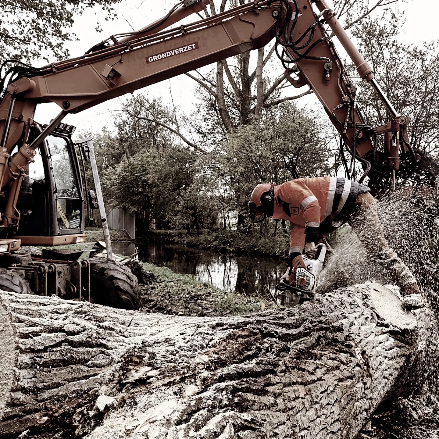 Boomverzorger zaagt een stam naast een graafmachine langs het water